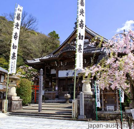 Inaba Shrine 1