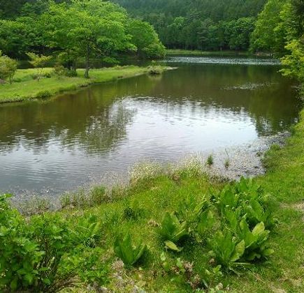Lake Dando 1