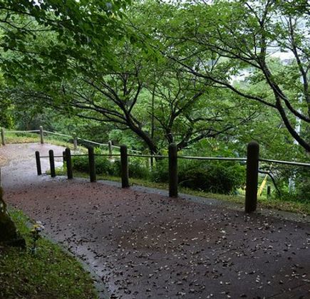 Kannonyama Park 1