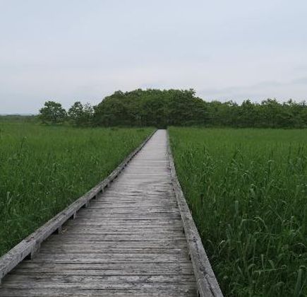 Onnenai Boardwalk 1