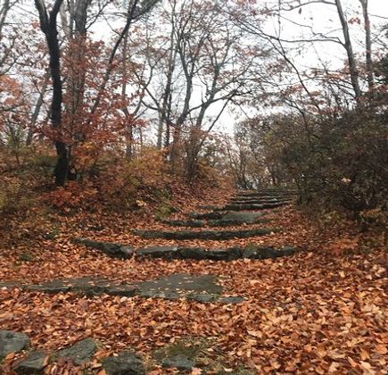 Onuma Park Walking Path 1