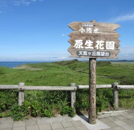 Koshimizu Primeval Garden 1