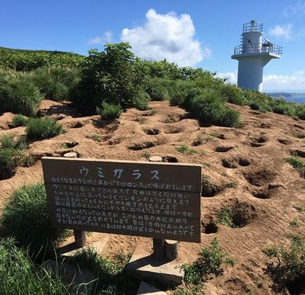 Teuri Island 1