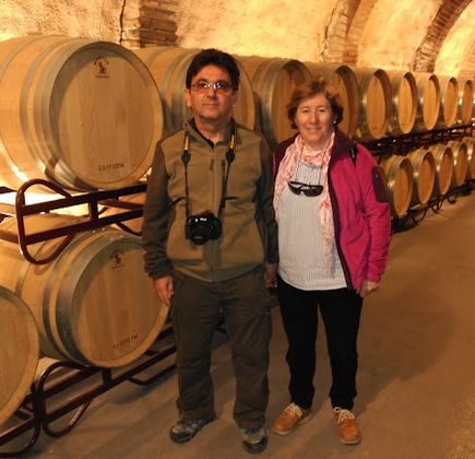 Bodegas Vinicola Real 1