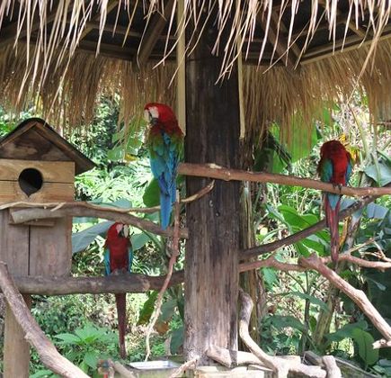 Green World Ecological Farm 1
