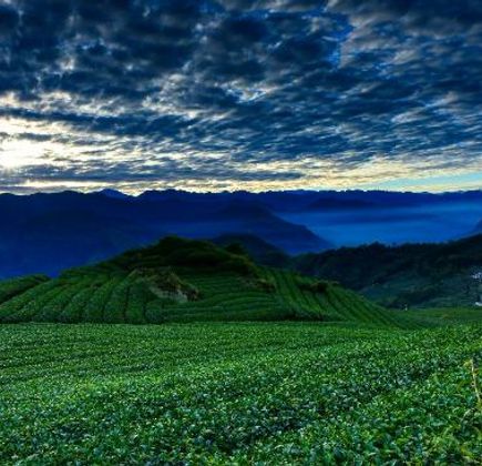 Alishan Siding Yunhai 1