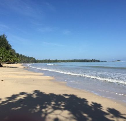 Coconut Beach 1