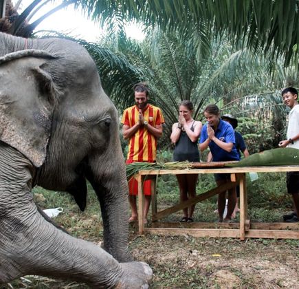 Khao Sok Elephant Sanctuary 1