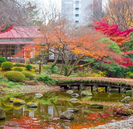 Koishikawa Korakuen Garden 1
