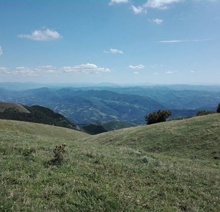 Monte Nerone 1