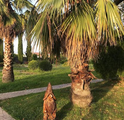 Southern Cultures Park 1