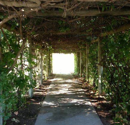 Barooga Botanical Gardens 1