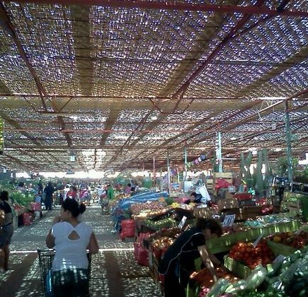 Terminal Agropecuario Arica 1