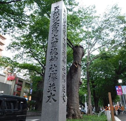 The road lined with Japanese Zelkova near Babadaimon Gate 1