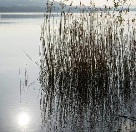 Lungolago di Gavirate 1