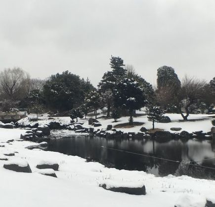 Isesaki Shimin no Mori Park 1