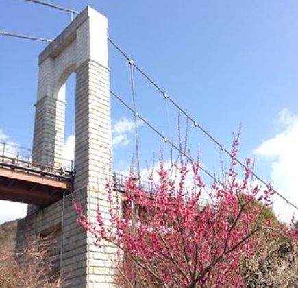 Tadano Togawa park 1