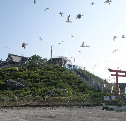 Kabushima Island 1