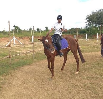 Stallions Valley Horse Riding Academy 1