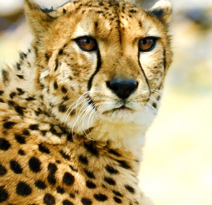 Tama Zoological Park 1