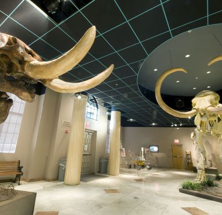 Arizona Museum of Natural History 1
