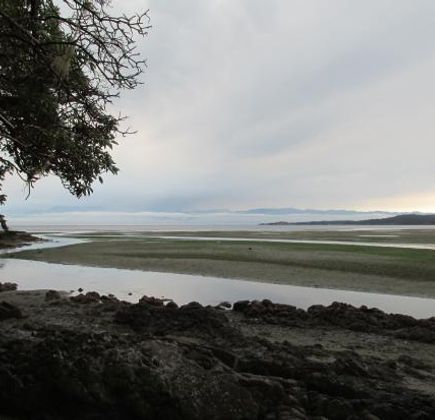 Witty's Lagoon Regional Park 1