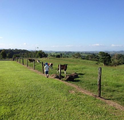 Millaa Millaa Golf Club 1