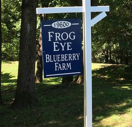 Frog Eye Farm 1