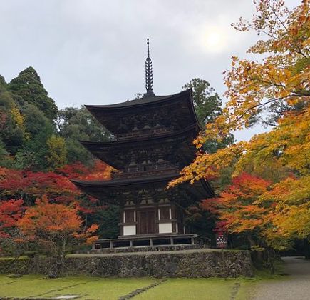 Saimyo-ji Temple 3 Storey Tower 1