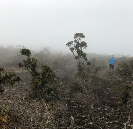 Mount Sibuatan 1