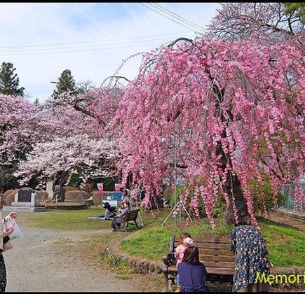 Mizusawa Park 1