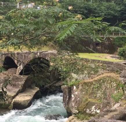 Bandokorobana Park 1