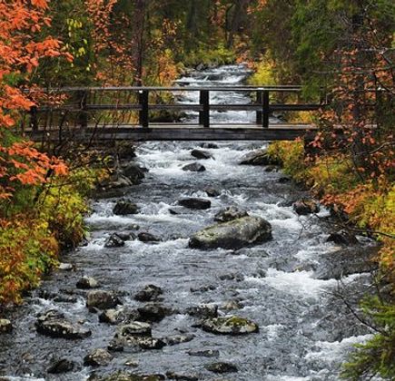 Lapland Nature Reserve 1