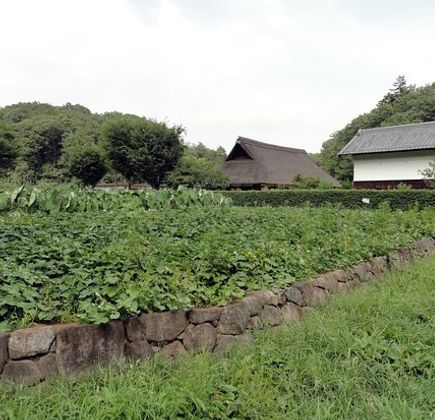 Noyamakita Rokudoyama Park 1