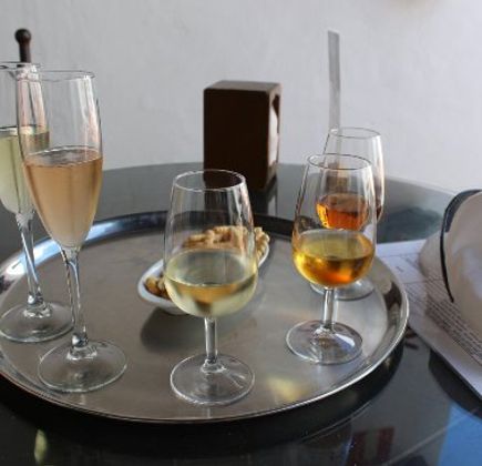 Bodega El Grifo - Museo del Vino 1