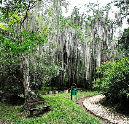Parque Gallineral 1