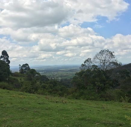 Amelies Pokolbin Mountain 1