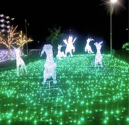 Tainoshoike Park 1