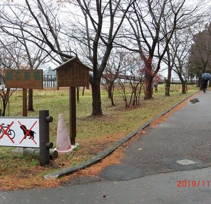 Fujimi Lake Park 1