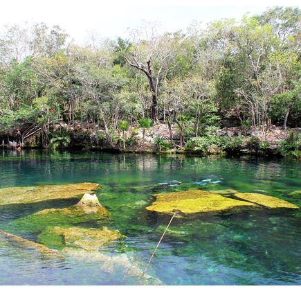 Cenote Jardín del Eden 1