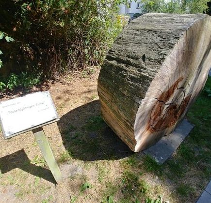 Waldkabinett Forstamt Neu Pudagla 1