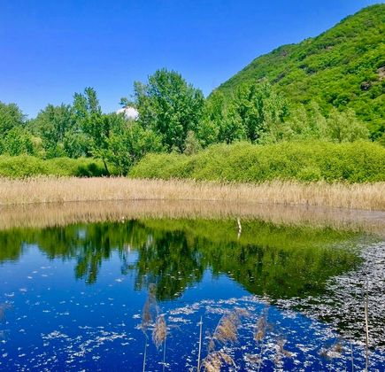 Biotopo Lago Costa 1