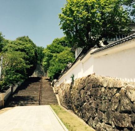 Tsuyama Nature & Mystery Museum 1
