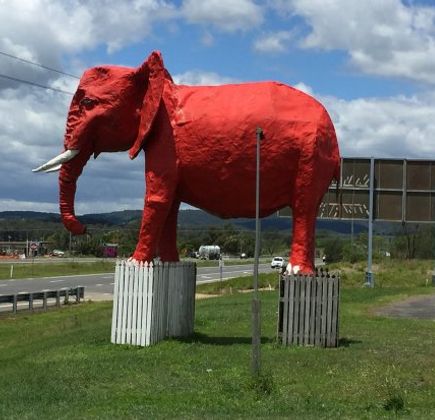 The Big Red Elephant 1