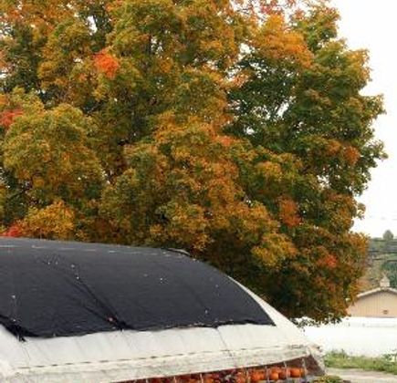 Snell Family Farm 1