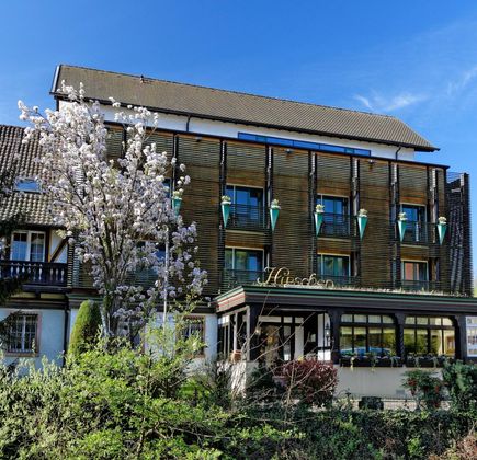 Freibad Glottertal 1