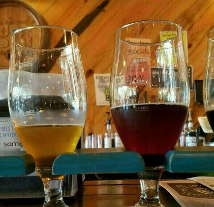 Zephyrhills Brewing Company 1