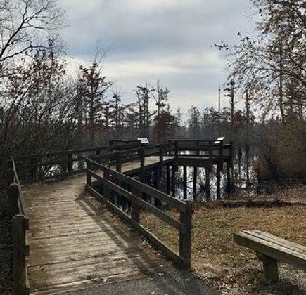 Cypress Creek National Wildlife Refuge 1