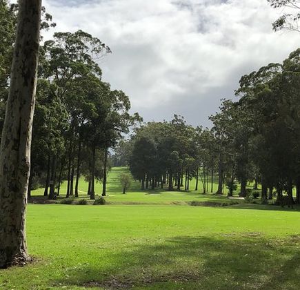 Mollymook Golf Club 1