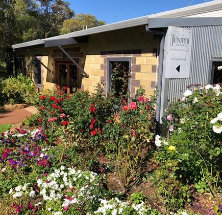 Juniper Margaret River 1